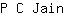 P***n
