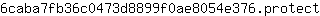6***t