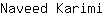 N***i