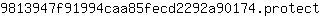 9***t