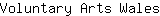 V***s