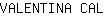 V***L