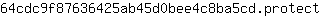 6***t