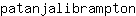 p***n