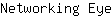 N***e