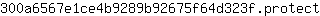 3***t