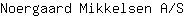 N***S
