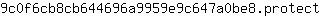 9***t