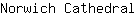 N***l