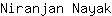 N***k