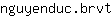 n***t