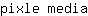 p***a