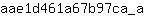 a***a