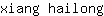 x***g