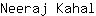 N***l