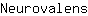 N***s