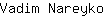 V***o