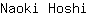 N***i