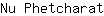 N***t