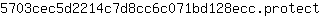 5***t
