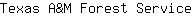 T***e