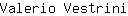 V***i