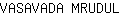 V***L