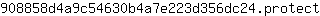 9***t