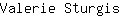 V***s