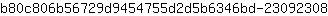 b***8