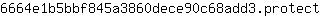 6***t