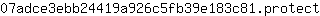 0***t
