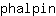 p***n