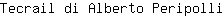 T***i