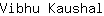 V***l
