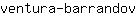 v***v