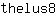 t***8
