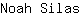 N***s