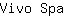 V***a