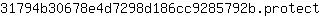 3***t
