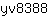 y***8