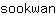 s***n