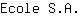 E***A.