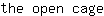 t***e
