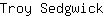 T***k