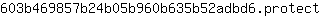 6***t