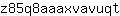z***t
