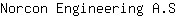 N***S