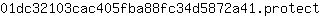 0***t