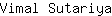 V***a